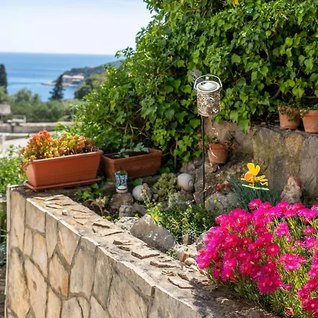 With Parking Space Hvar - 25144 Apartment Hvar Town